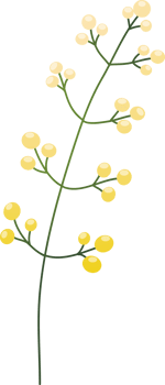 floral elements. Flower and green leaves. Wedding concept png