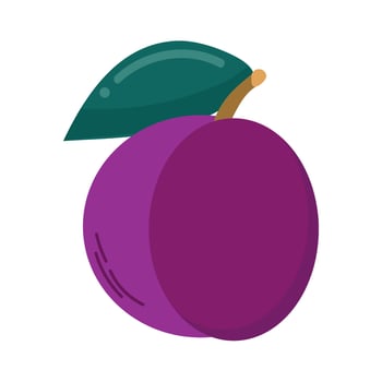 Plum fruit isolated vector illustration