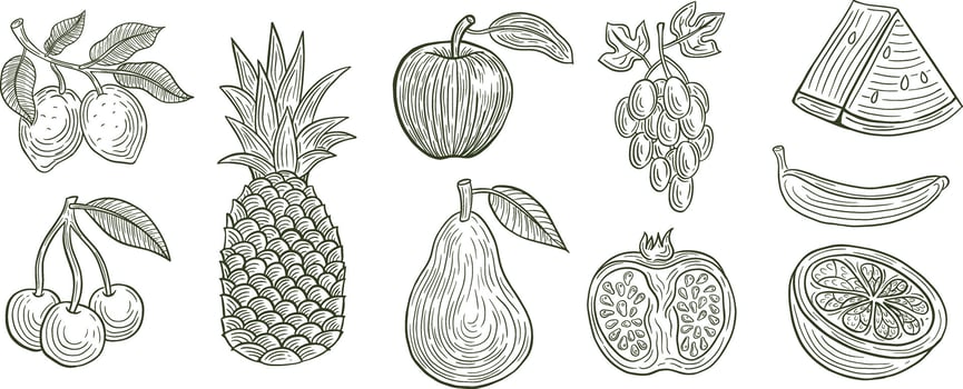 hand drawn set of fruits vector