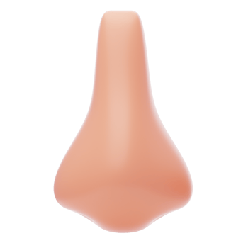 Nose 3D Icon. Human Nose front view png