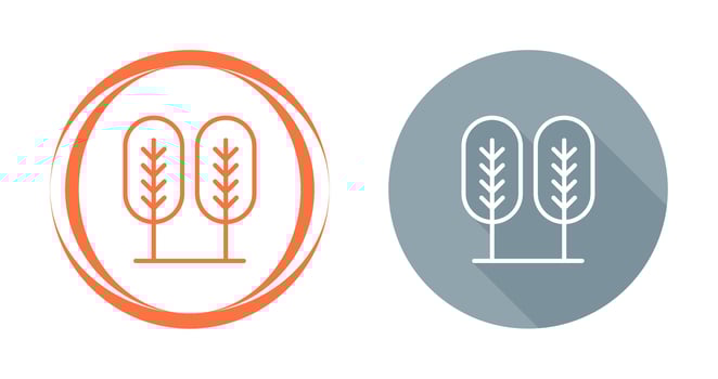 Birch tree Vector Icon