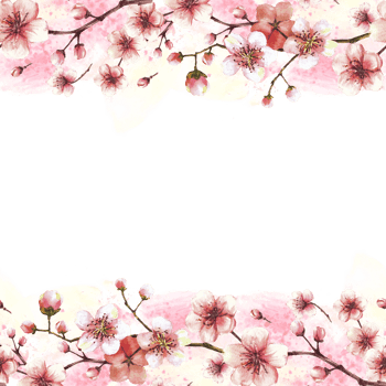 Blossoming branch from tree, sakura, cherry or apple buds and flowers seamless frame, border on watercolor stains background Spring blossoms, springtime banner clipart Hand drawn isolated illustration png