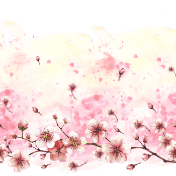 Blossoming branch from spring sakura seamless border, banner illustration Hand drawn blossoms fruit tree cherry or apple buds flowers on watercolor splashes Springtime background Isolated illustration png