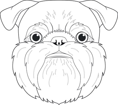 Brussels Griffon dog easy coloring cartoon vector illustration. Isolated on white background