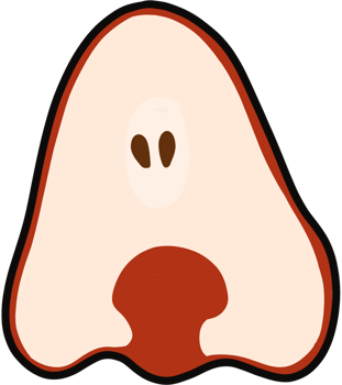 rose apple cartoon illustration png