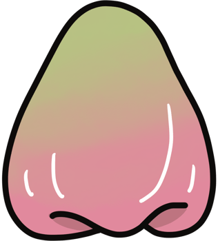 rose apple cartoon illustration png