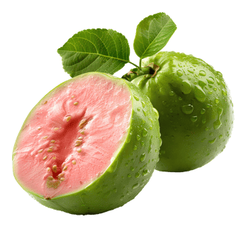 AI generated guava fruit PNG. Guava isolated. Tropical fruit guava top view PNG. Guava flat lay PNG