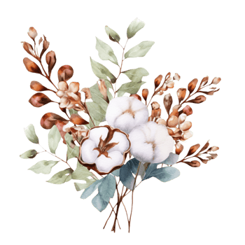 AI generated watercolor cotton flowers and leaves on transparent background png