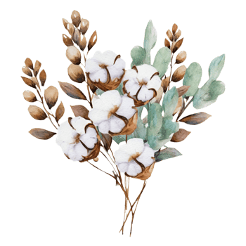 AI generated watercolor illustration of cotton flowers and leaves png