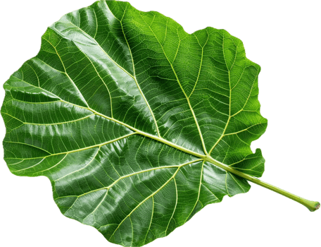 AI generated Lush Green Tropical Foliage png