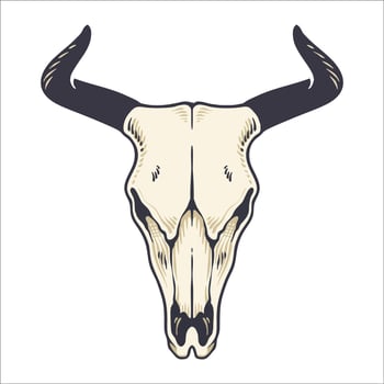 COW SKULL HAND DRAWING ILLUSTRATION vector