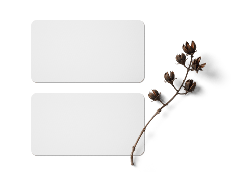 Minimal business card mockup png
