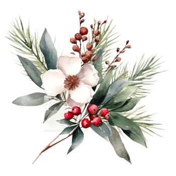 AI generated watercolor christmas flowers and leaves on a branch png