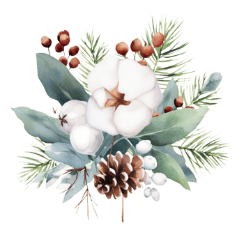 AI generated watercolor christmas flowers and pine cones on transparent background png
