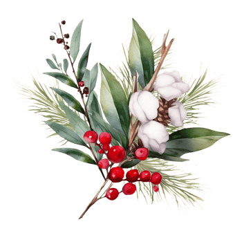 AI generated christmas watercolor illustration of cotton, holly, and berries png