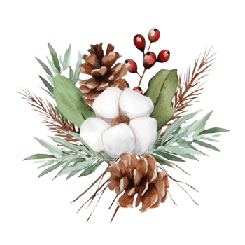 AI generated watercolor cotton flowers and pine cones on a transparent background png