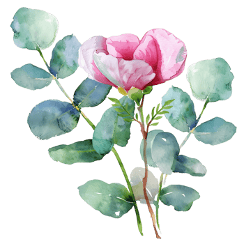 AI generated Subtle Pink Flower with Eucalyptus Leaves png