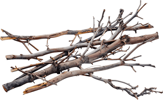 AI generated Tangled Dry Tree Branches png