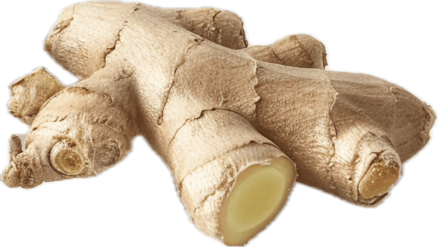 AI generated Fresh Ginger Root png