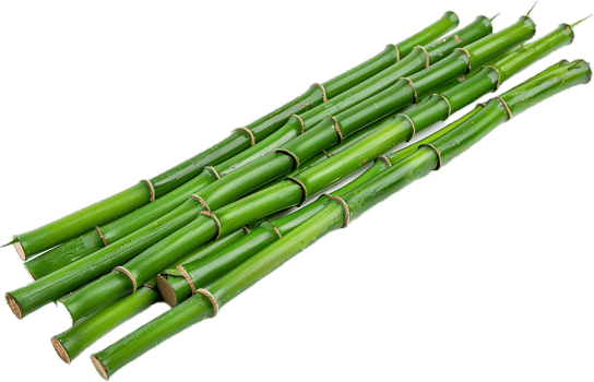 AI generated Stacked Fresh Green Bamboo Sticks png