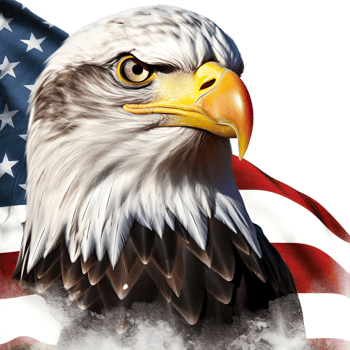 AI generated american eagle png