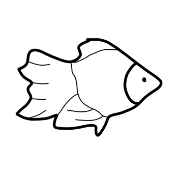 pet animal goldfish png