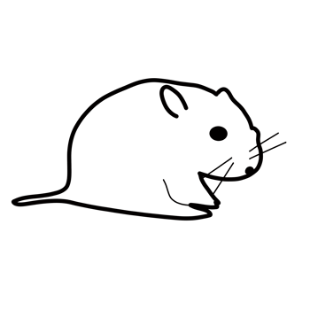 pet animal hamster png