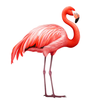 AI generated Flamingo flying png isolated on transparent background