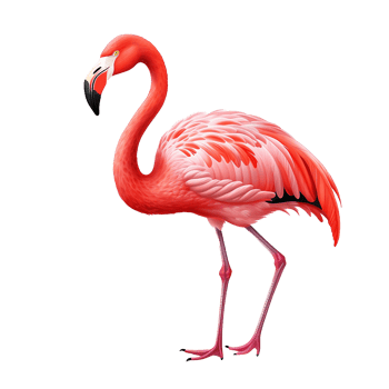 AI generated Flamingo flying png isolated on transparent background