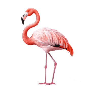 AI generated Flamingo flying png isolated on transparent background