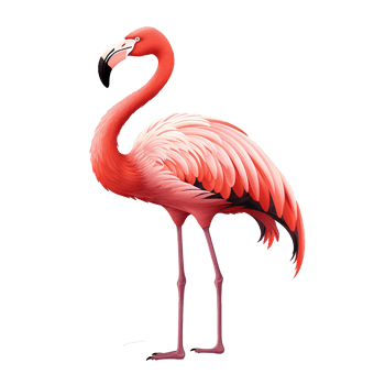 AI generated Flamingo flying png isolated on transparent background