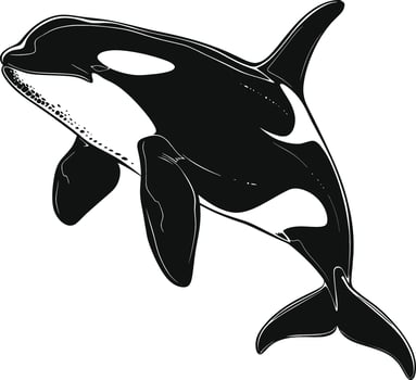 AI generated Silhouette the orca or killer whale black color only vector