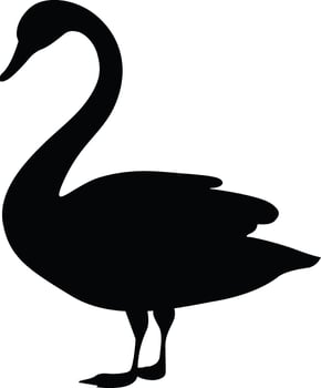Swan Silhouette Vector
