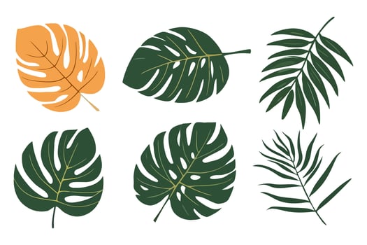 Summer palm leaf vector green plant, exotic nature