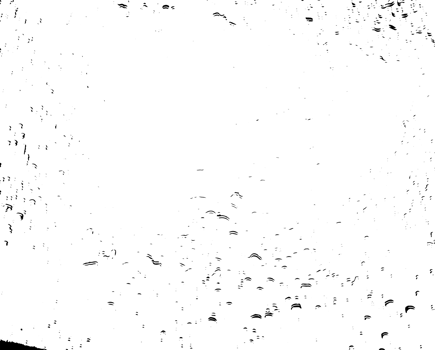 Rustic grunge texture with grain and stains. Abstract noise background. PNG graphic illustration with transparent background.