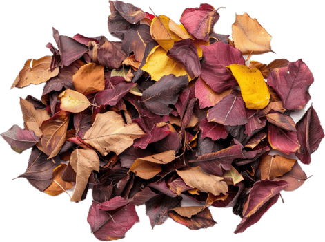 AI generated Vibrant Autumn Leaves Pile png