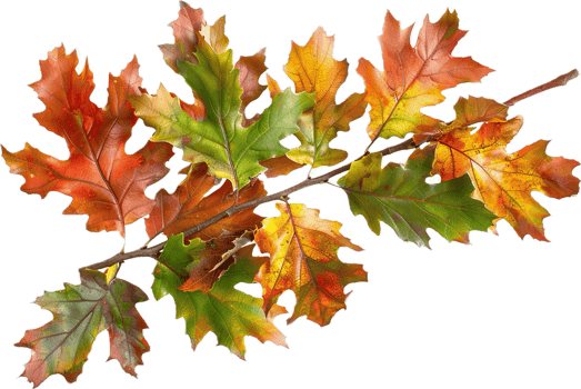 AI generated Autumn Oak Leaves Branch png
