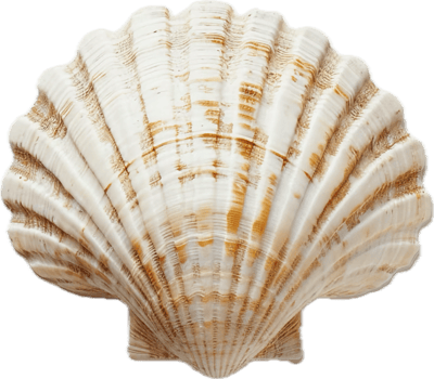 AI generated Vibrant Striped Seashell png