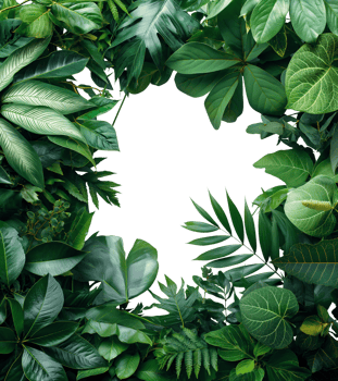 AI generated Tropical green leaves frame, nature's fresh border by leaf, AI generated, PNG transparent