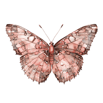 AI generated Timeless BeautyWatercolor Butterfly Clipart png