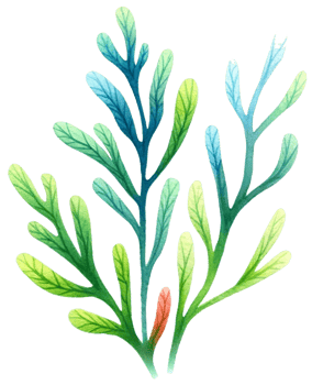 AI generated Colorful seaweed ocean flora watercolor illustration AI Generative png