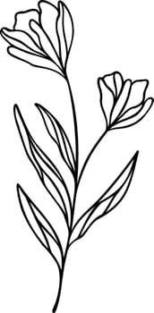 Flower Line Art, Botanical Floral Vector Illustration