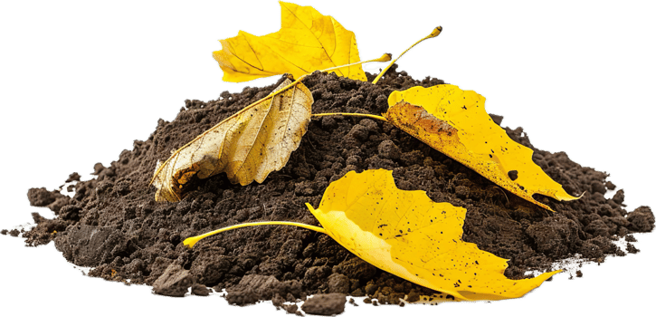 AI generated Autumn Leaves on Rich Soil png