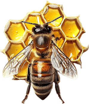 AI generated Detailed Honeybee png