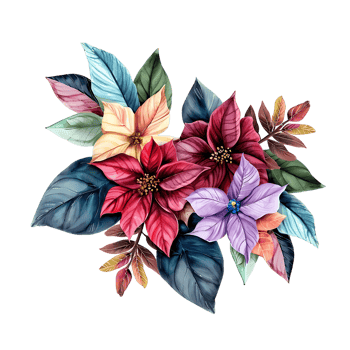AI generated Subdued Poinsettia Watercolor Illustration png