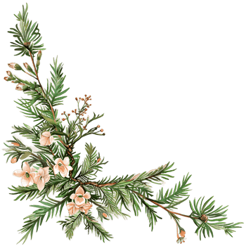 AI generated Subdued Juniper Twig Watercolor Illustration png