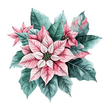 AI generated Airy Watercolor Clipart of a Poinsettia png