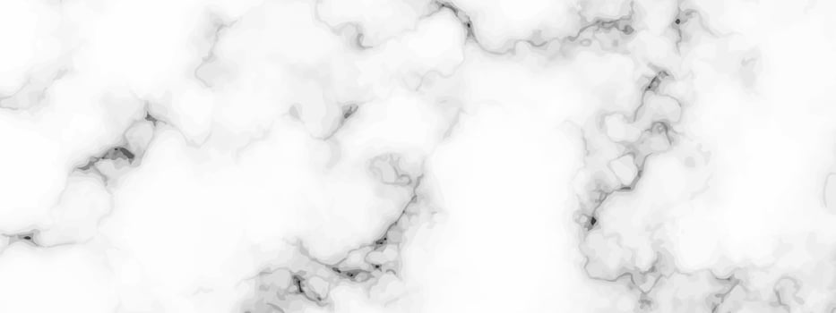 White marble texture background vector