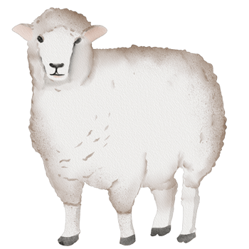 watercolor sheep painting clip art, animal wildlife illustration png