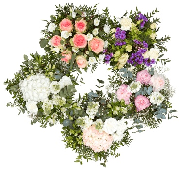 fresh flowers cut out isolated transparent background png